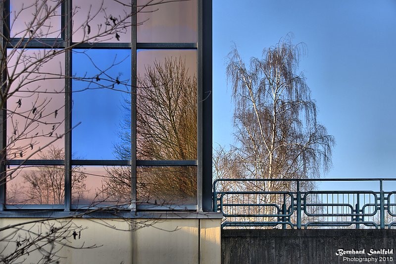 Bernhard Saalfeld - Das blaue Fenster